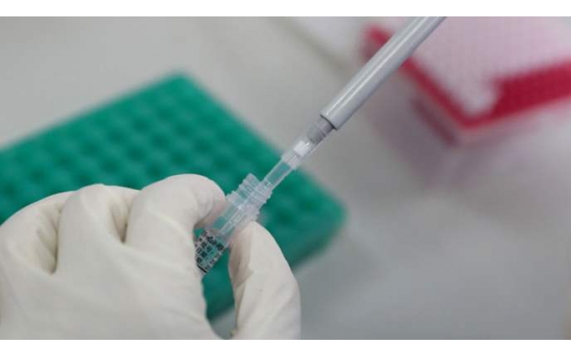 上海市衛健委公布各區新冠病毒核酸檢測信息表