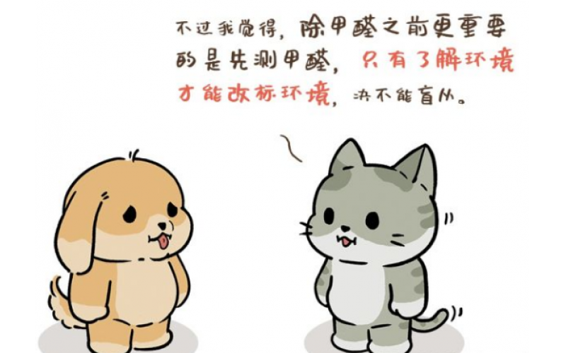 新房子明顯氣味，先除甲醛還是先測甲醛